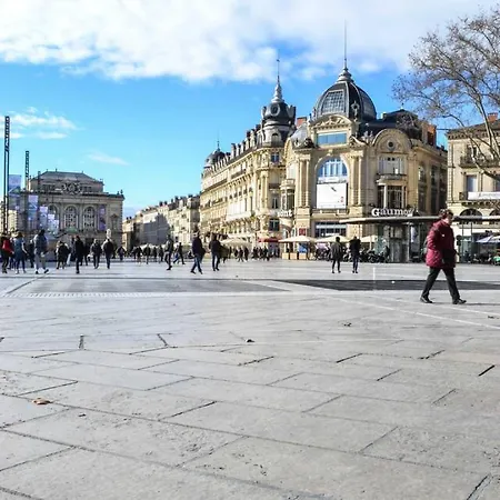 La Loge, Centre-ville Montpellier